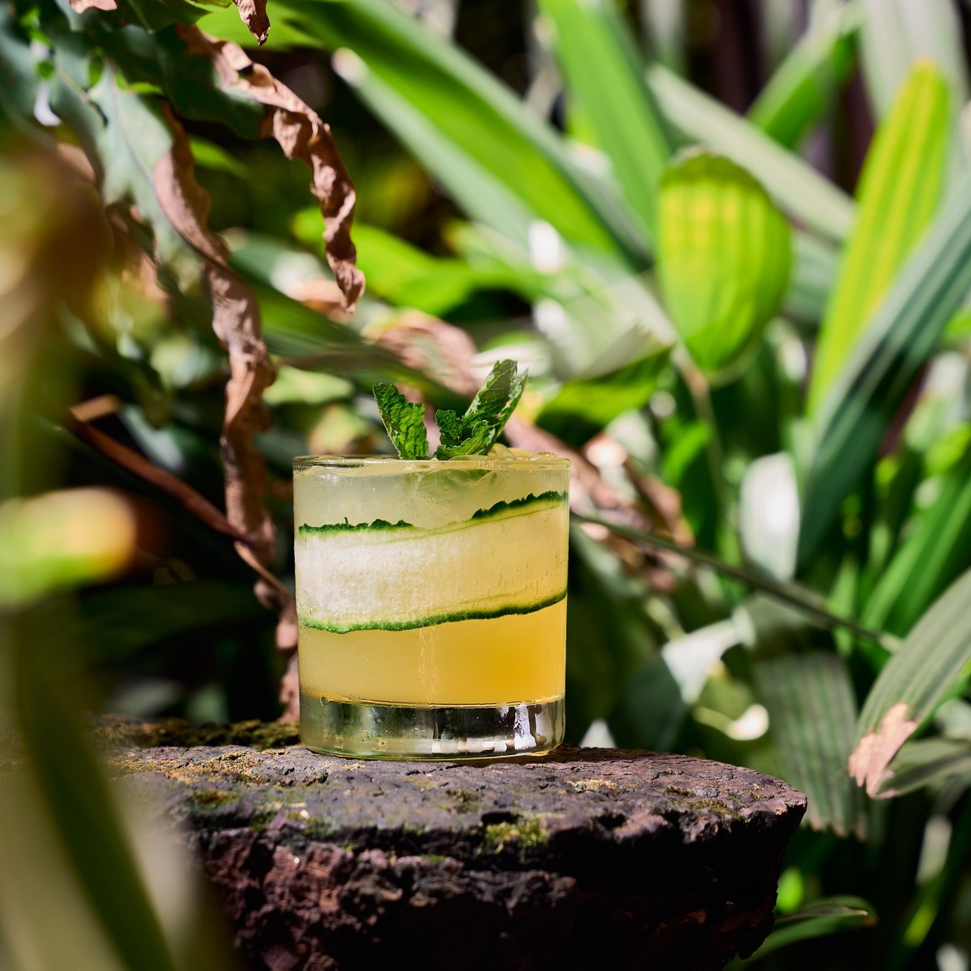 A garden cocktail served over ice