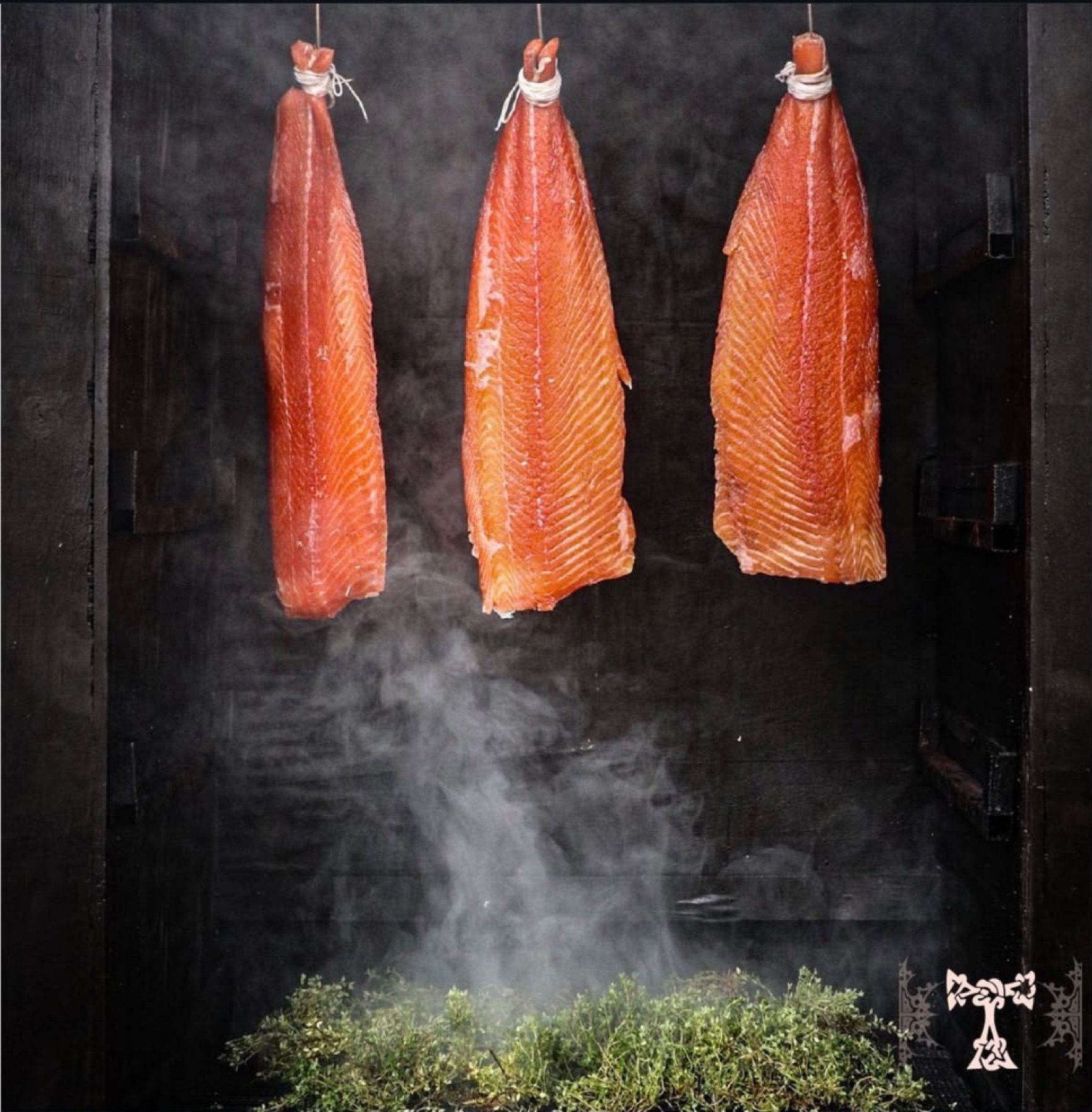 Whole sides of salmon hanging in the Talisman smokehouse above smouldering herbs